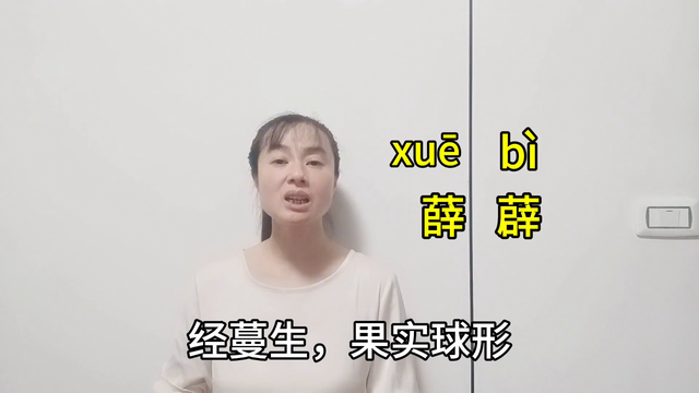 “薛、薜”两个字很相似，但是读音和意思却完全不同，你知道吗