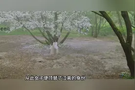 深夜追剧图片