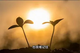 八万四千问#一起读书图片