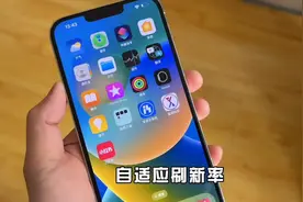 苹果巅峰之作 iPhone 13 Pro Max 又能坚持多久呢图片