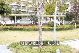 至诚恳切的心，启动了咒语的力量图片