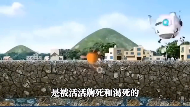 北京禁用融雪剂，原来它的危害这么大❓❓😱