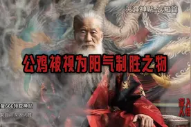 天涯神贴：为什么家里养公鸡能够辟邪？图片