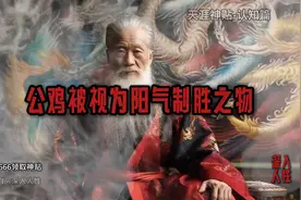 天涯神贴：为什么家里养公鸡能够辟邪？图片