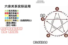 手把手教你学会小六壬之举例讲解六亲关系#道家文化图片