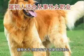 属狗人适合从事什么职业图片