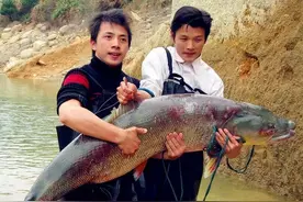 广东新丰江水库建成至今已经60多年，里面的鱼有多大？图片