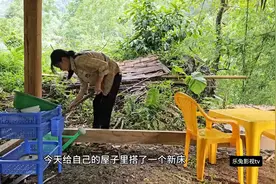 小龙和小花给新房子里搭了一张床，生活终于稳定下来了。图片