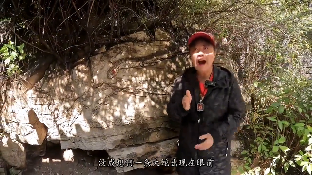 河北大山惊现14亿年的大蛇 要不是亲眼所见真的不敢相信 太逼真