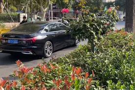 98年独居女生，不结婚的一天有多爽？图片