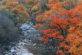 这是一条人少景美，翻越秦岭到达陕南的赏秋自驾路线图片