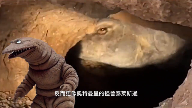 国外网友抓到哥布林？中国拍到奥特曼里的怪兽？揭开事情的真相