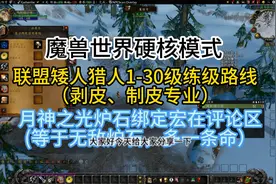 魔兽世界硬核模式联盟矮人猎人1-30级练级路线剥皮、制皮专业图片