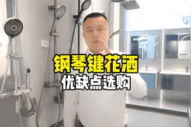 钢琴键花洒优缺点，选购建议，别浪费钱，优点明显，缺点也明显图片