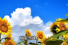 毒月到底有多毒，九毒日又是哪几日？在毒月里我们应该怎么做图片