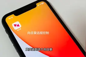 向日葵远程控制进阶玩法#电脑远程控制图片