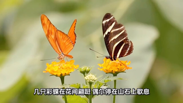 御苑叠翠：皇宫花园游览记。