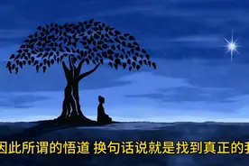 什么是悟道？图片