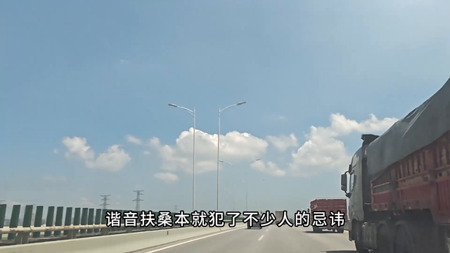 阴花不能进阳宅，这四种花打死也不养，家里若有，赶紧挪走