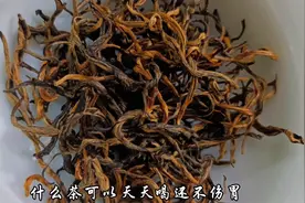什么茶可以天天喝还不伤胃？图片