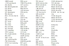 汉语是世界上唯一无法用拼音文字的语言吗？有何科学依据？图片