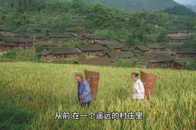 民间故事 神奇的种子图片