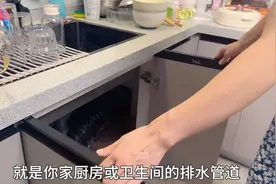 家中突然有蟑螂，你家里的蟑螂到底是从哪里来的？ #灭蟑螂图片