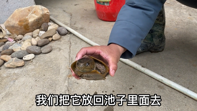 江西大山深处独住一户人家，一年收入100多万，难怪他不愿意搬