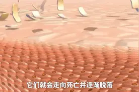 为什么经常洗头，还是会有数不尽的头皮屑呢？ #头皮图片