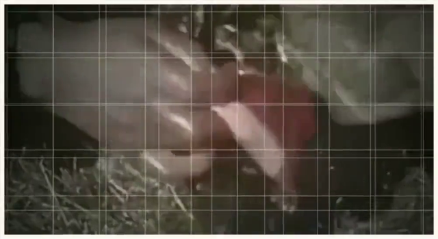 因纽特人做的鞋子究竟有多牛，踩在水里竟然滴水不进，太神奇了