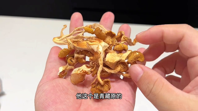 产后花胶怎么煲汤 2025年产后花胶煲汤的做法大全