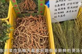 嗓子不舒服有异物，用石橄榄煲汤，清咽润喉养阴生津，简单实用图片