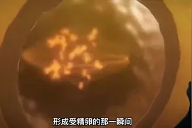 胎儿的性别究竟是父亲决定还是母亲决定的呢？#染色体图片