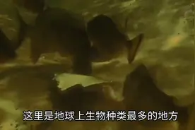 这是你从没见过的荒野求生，一男一女脱光光在野外生存21天图片