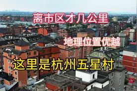 实拍临平第一村，这里是杭州主城郊区最大一片农村图片