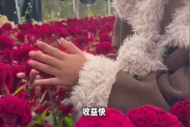 适合新手种植的1年生药材，6-9个月就能收，亩收入可达2万元图片