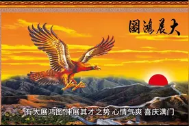 生肖狗的蛇年运程#属狗的人图片