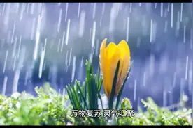 蛇年最佳出生月份图片