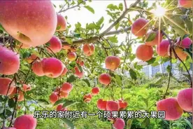 智慧之果——小狐狸的智慧图片