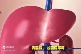 【健康科普】胆固醇是一类特殊的脂类物质图片