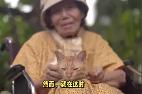 哈尔滨猫脸老太太事件：是真实还是谣言？ #奇闻悬案图片