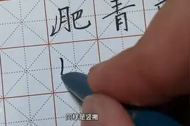 “月字旁”的写法和运用规律详细讲解【建议收藏】图片