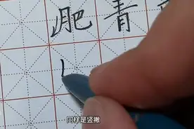 “月字旁”的写法和运用规律详细讲解【建议收藏】图片
