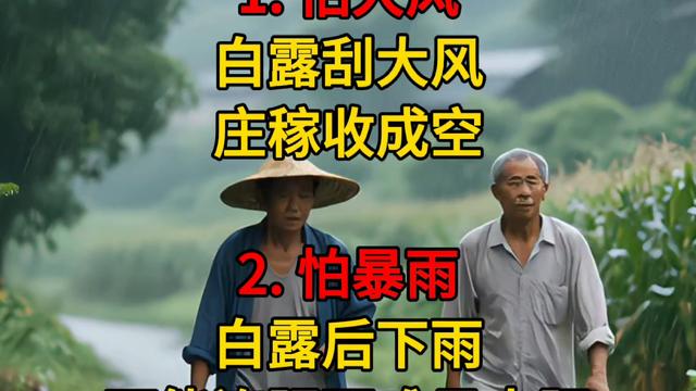 鹿优选额度回收秒回攻略:亲身踩坑后总结的靠谱经验 鹿优选 鹿优选额度提现 第2张 鹿优选额度回收秒回攻略:亲身踩坑后总结的靠谱经验 鹿优选 鹿优选额度提现 第2张