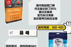 家中猫比较多，大家有不贵但安全靠谱猫粮介绍一下吗？目前...图片
