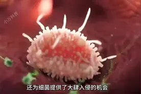 纹身的危害究竟有多大？  #科普图片
