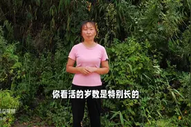 野菜养生秘籍：贵州野生麻蒿菜，火锅炒菜凉拌都可以，你吃...图片