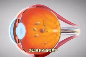 眼睛为什么不能被身体发现图片