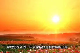 24年微信头像禁忌图片