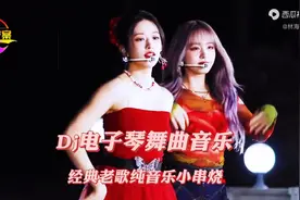 Dj电子琴舞曲音乐“经典老歌纯音乐小串烧”，曲美人美，...图片